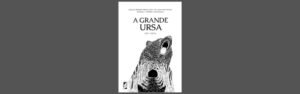 A grande ursa