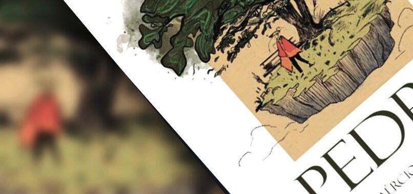 Banner - Sopa de Pedra